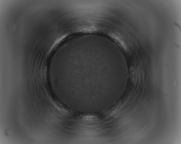 X0000093370400200710111440