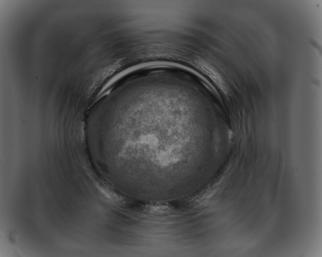 X0000093370401200710111440