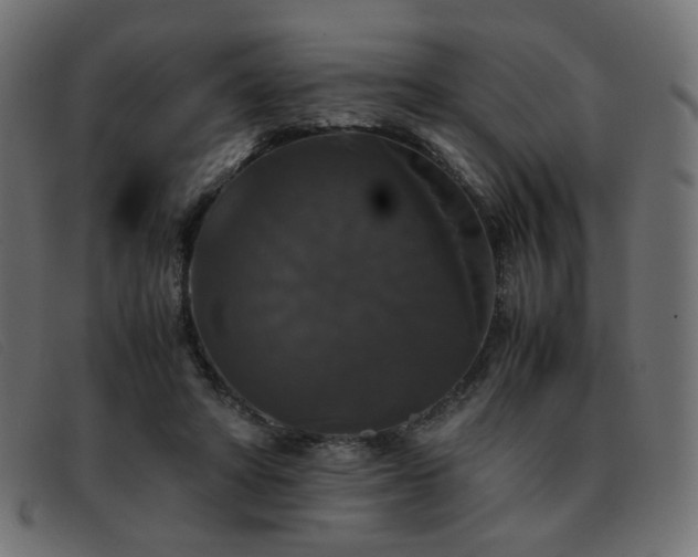 X0000093370402200710111440