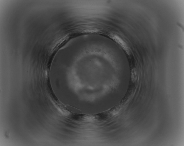 X0000093370405200710111440
