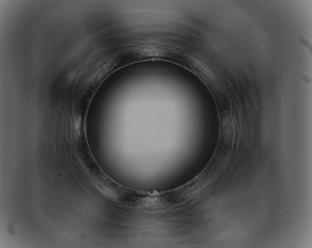 X0000093370406200710111440