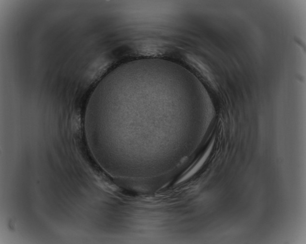 X0000093370407200710111440