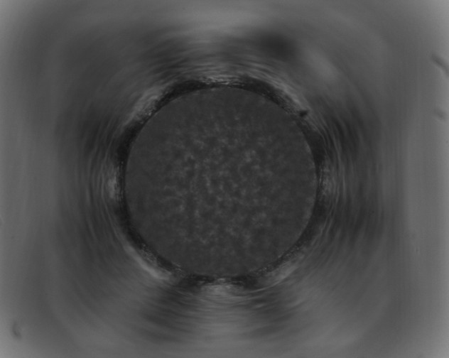 X0000093370408200710111440