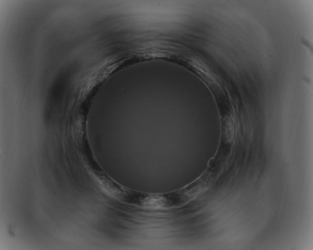 X0000093370410200710111440