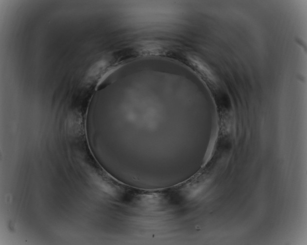 X0000093370411200710111440