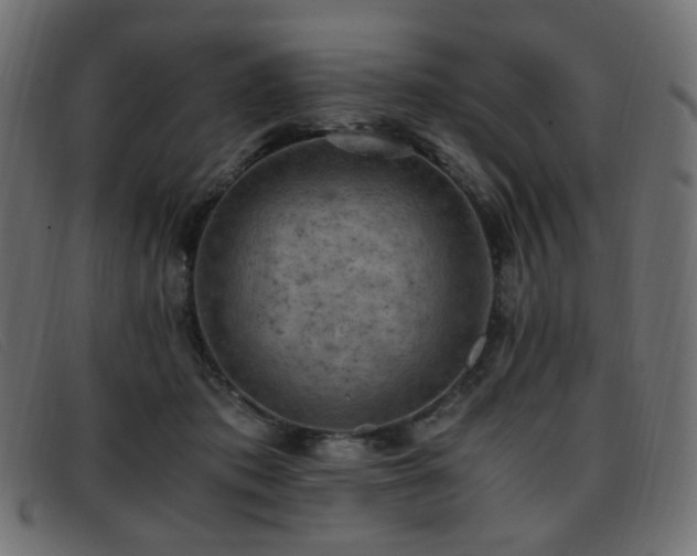 X0000093370413200710111440