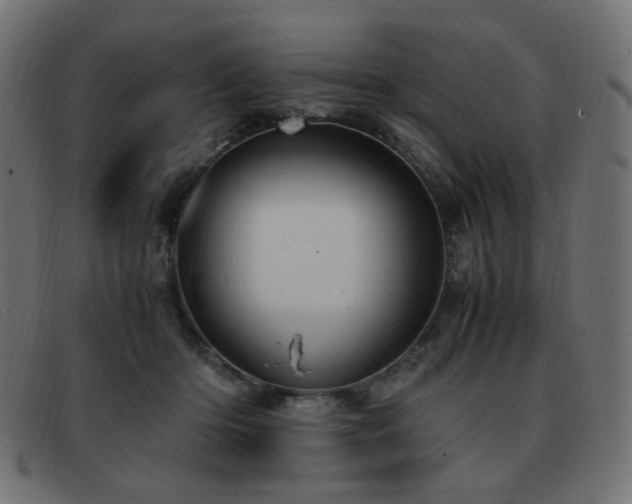 X0000093370414200710111440