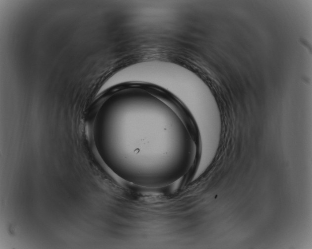 X0000093370417200710111440