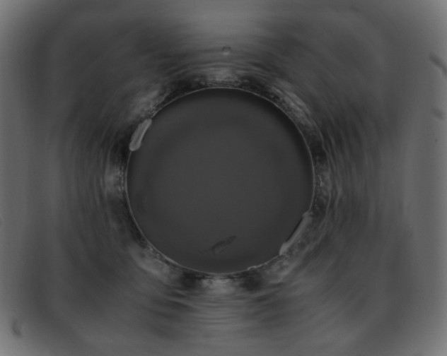 X0000093370419200710111440