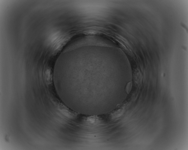 X0000093370420200710111440