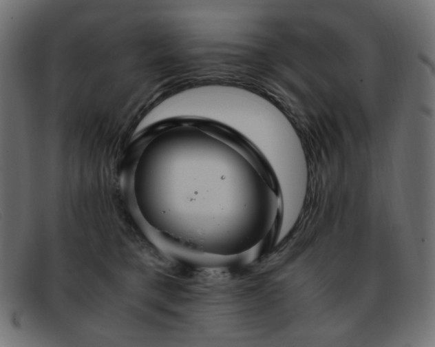 X0000093370421200710111440