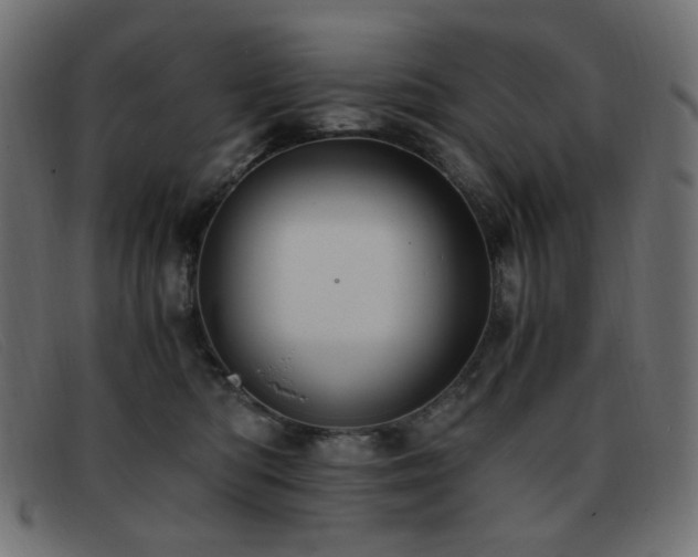 X0000093370422200710111440