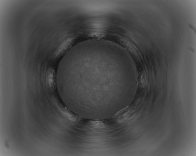 X0000093370424200710111440