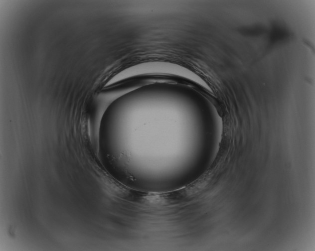 X0000093370425200710111440