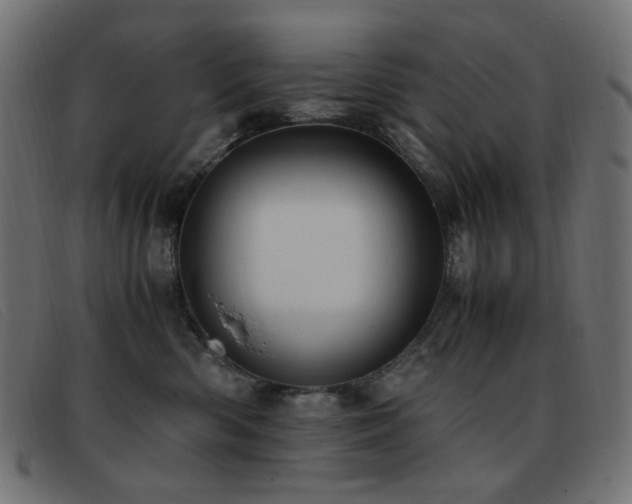 X0000093370426200710111440