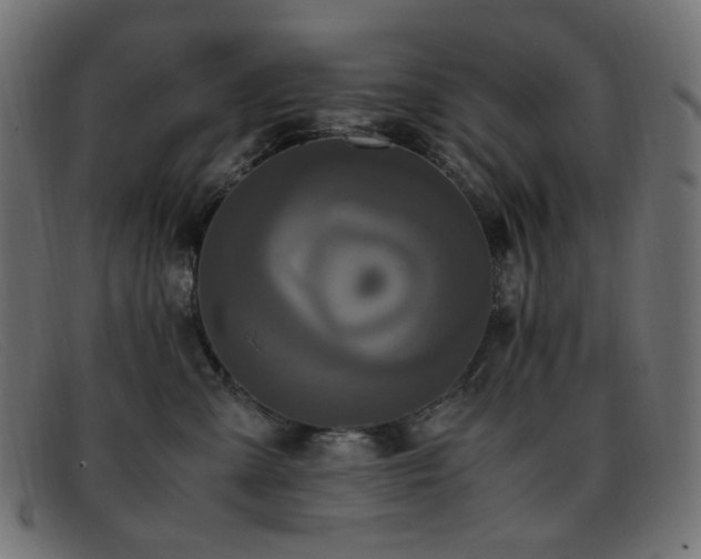 X0000093370427200710111440