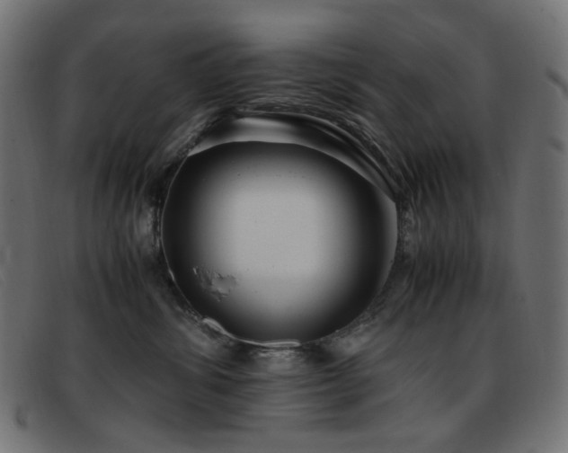 X0000093370428200710111440