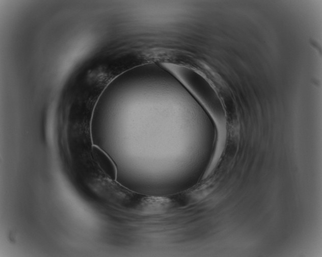 X0000093370429200710111440