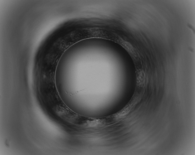 X0000093370430200710111440