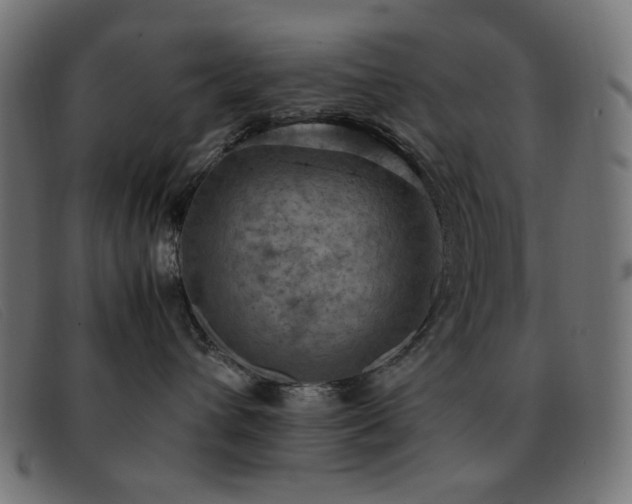 X0000093370432200710111440