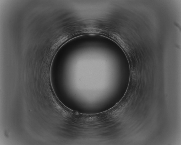 X0000093370433200710111439