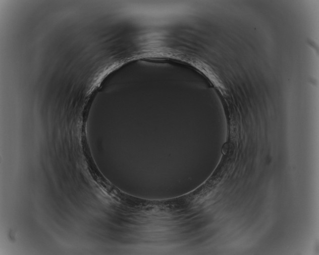 X0000093370434200710111439