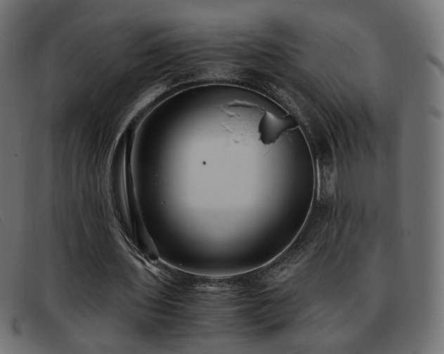 X0000093370435200710111439