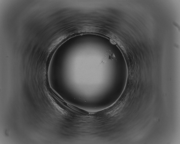 X0000093370437200710111439