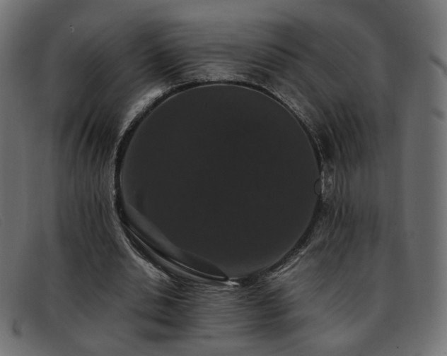 X0000093370438200710111439