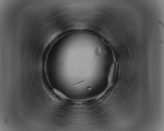 X0000093370440200710111439