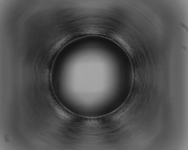 X0000093370445200710111439