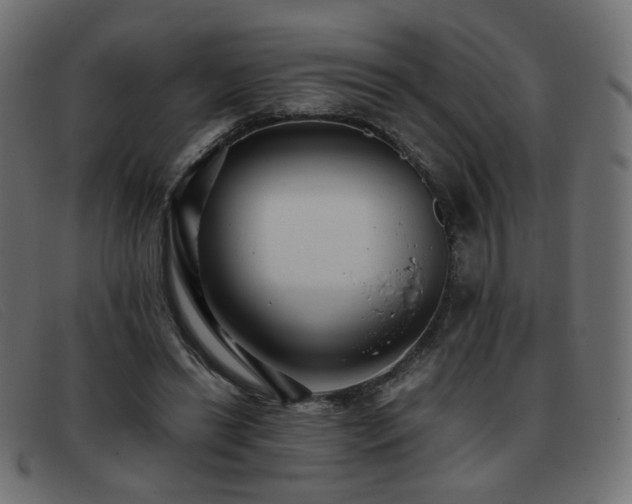 X0000093370446200710111439