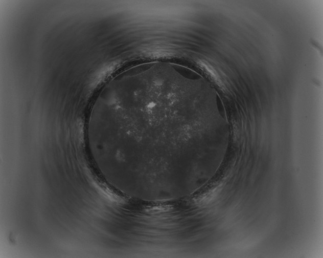 X0000093370447200710111439