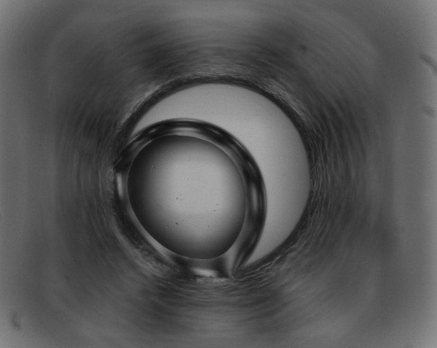 X0000093370448200710111439