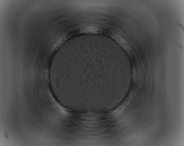 X0000093370449200710111439