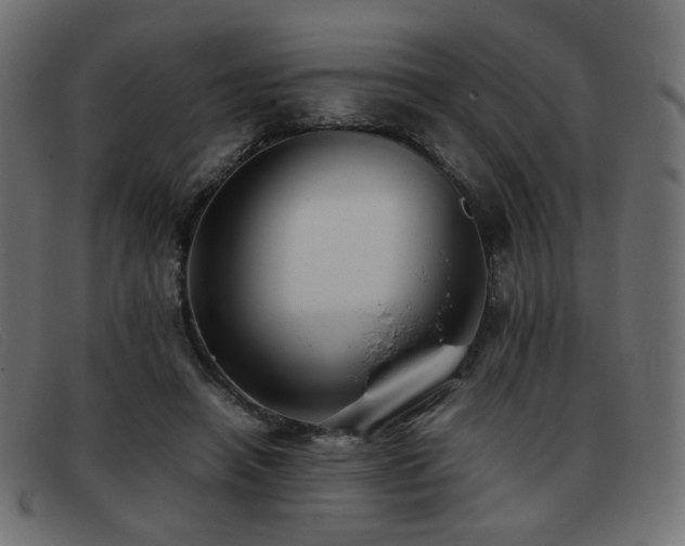 X0000093370450200710111439