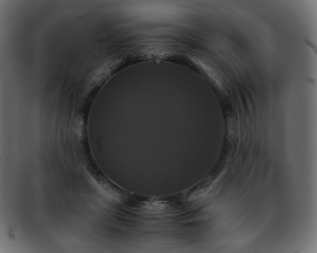 X0000093370451200710111439
