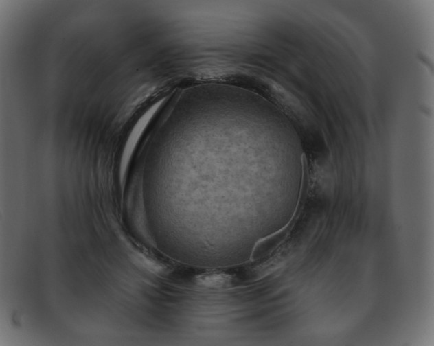 X0000093370452200710111439
