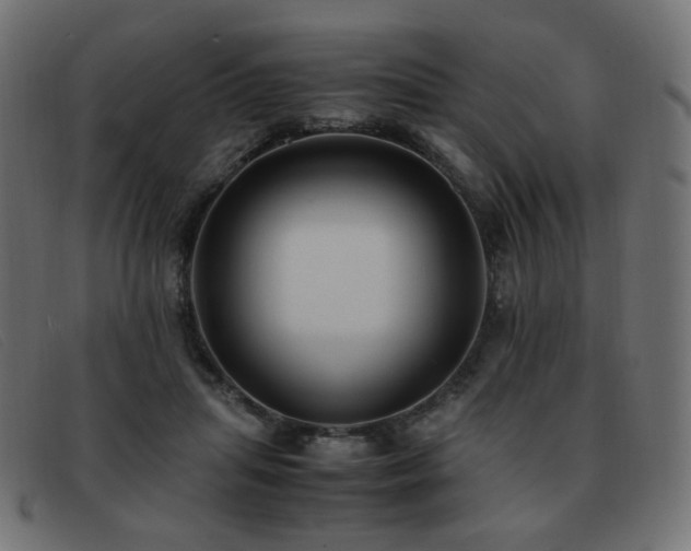 X0000093370455200710111439