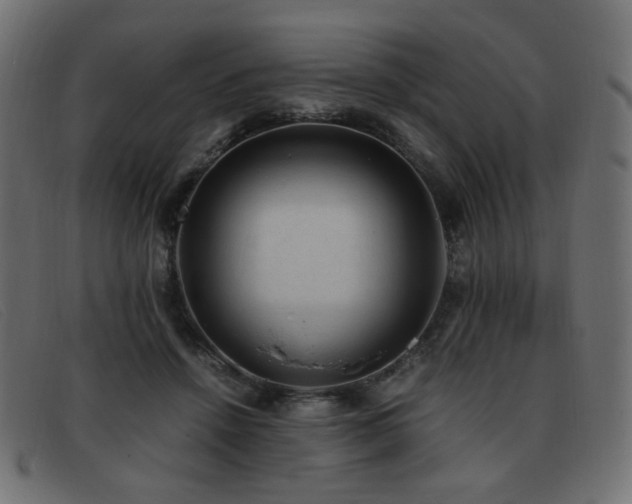 X0000093370456200710111439