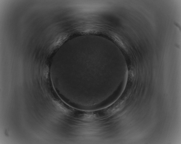 X0000093370458200710111439