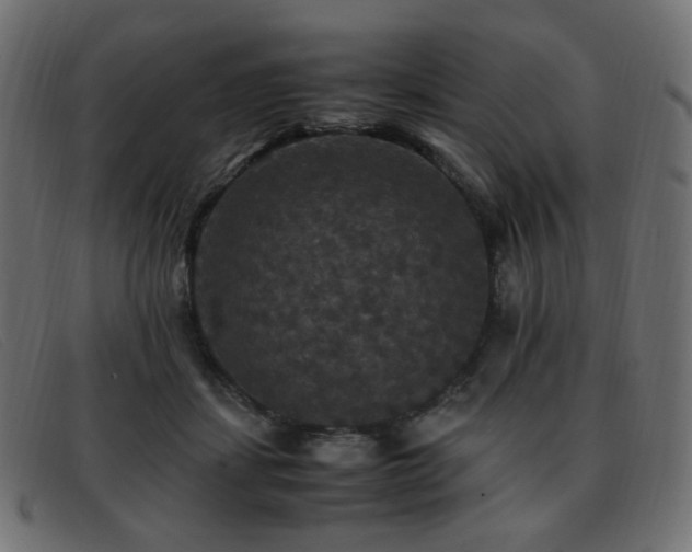 X0000093370459200710111439