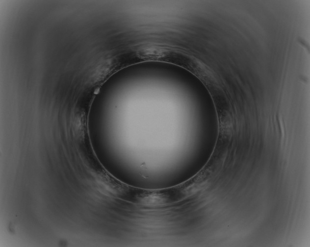 X0000093370460200710111439