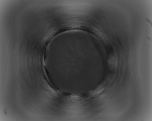 X0000093370462200710111439