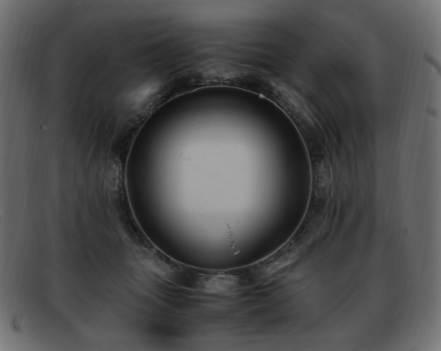X0000093370463200710111439