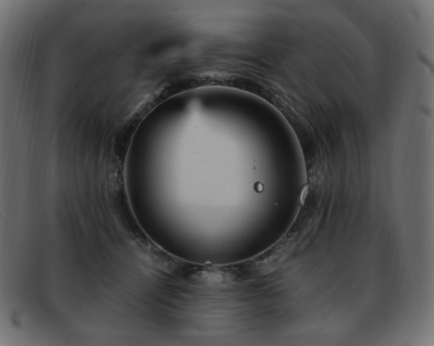 X0000093370464200710111439