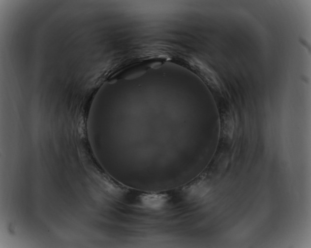X0000093370465200710111439