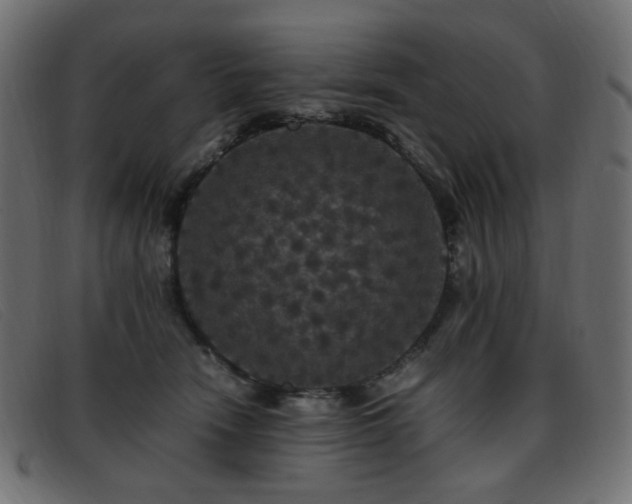 X0000093370466200710111440