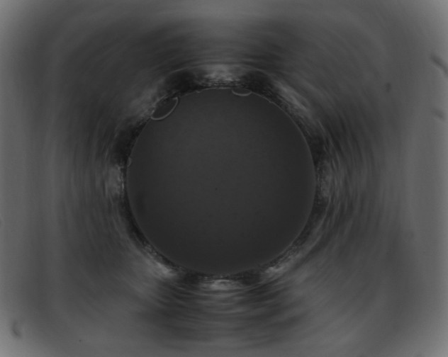 X0000093370467200710111440