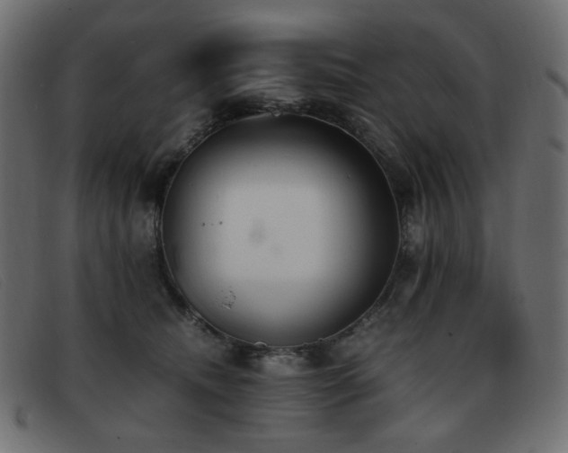 X0000093370468200710111440